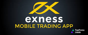Understanding the Exness Broker Spread Key Insights for Traders Understanding the Exness Broker Spread Key Insights for Traders