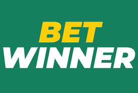 Discover BetWinner Casino & Sportsbook Your Ultimate Betting Destination