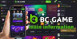 Understanding BC App Casino Your Ultimate Guide Understanding BC App Casino Your Ultimate Guide